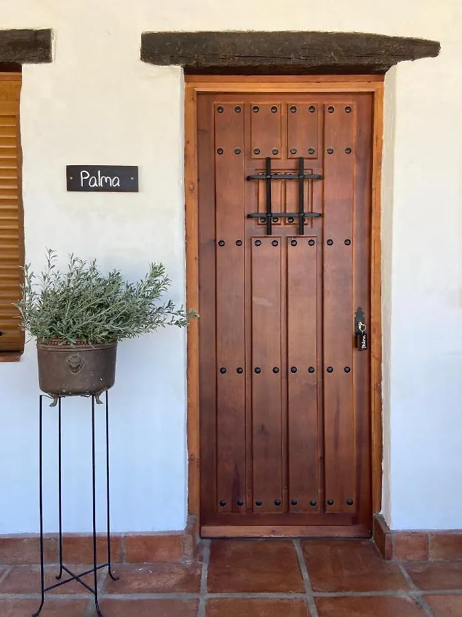 The Wild Olive Andalucia Palma Guestroom Casares