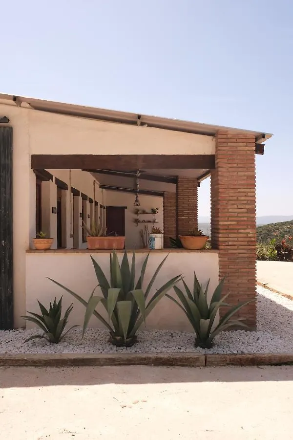 The Wild Olive Andalucia Palma Guestroom Casares Farm stay