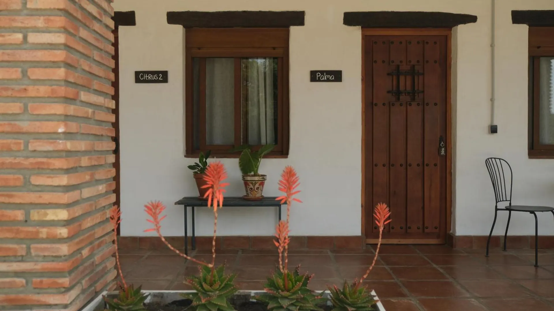 The Wild Olive Andalucia Palma Guestroom Casares Spain